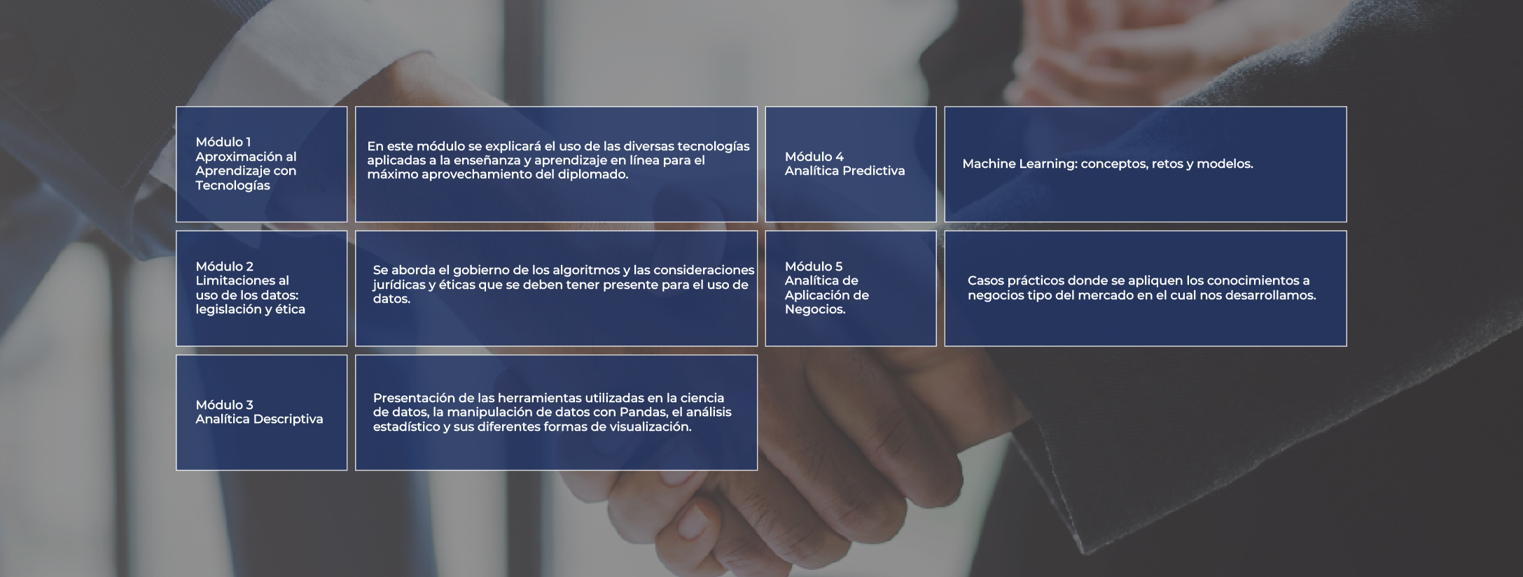 malla programa Business Analitycs and Data Science