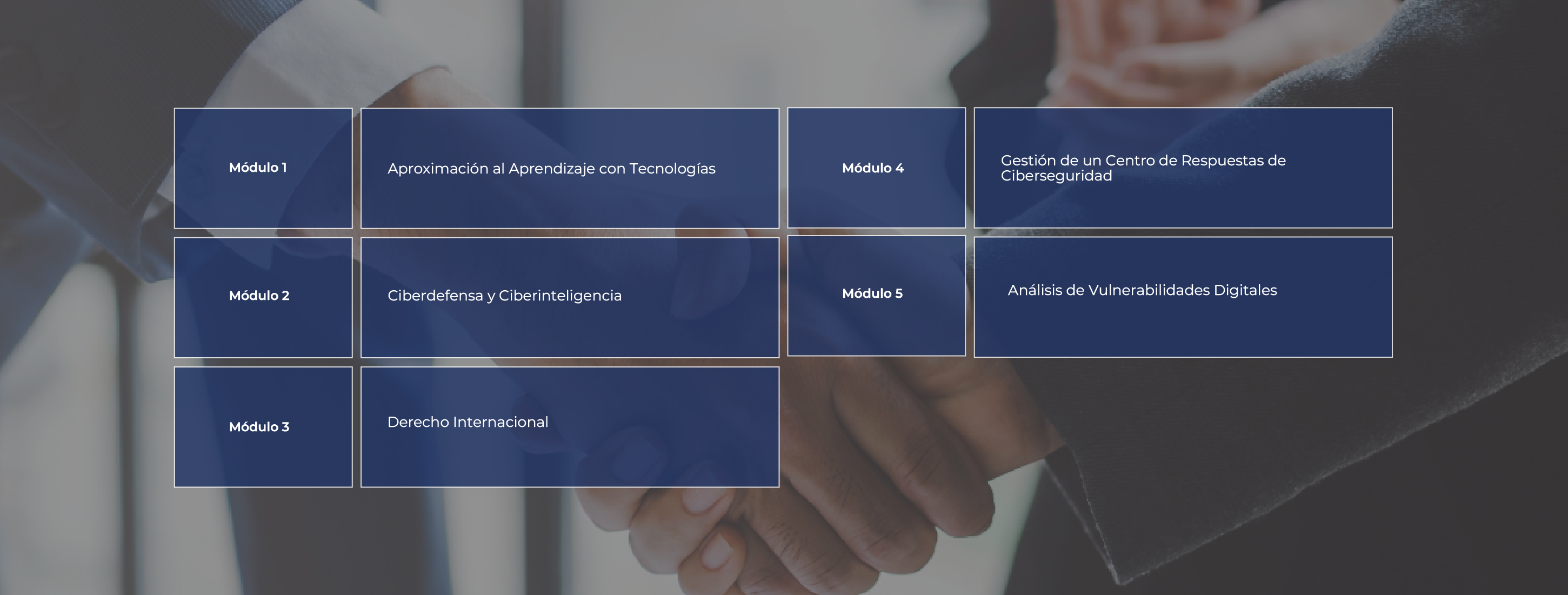malla diplomado ciberseguridad