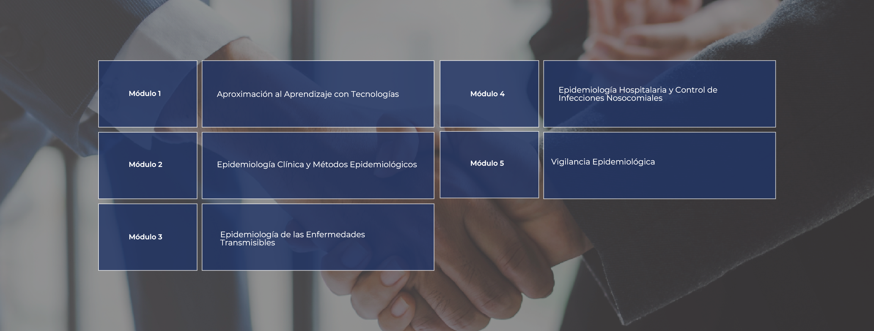 malla académica epidemiología