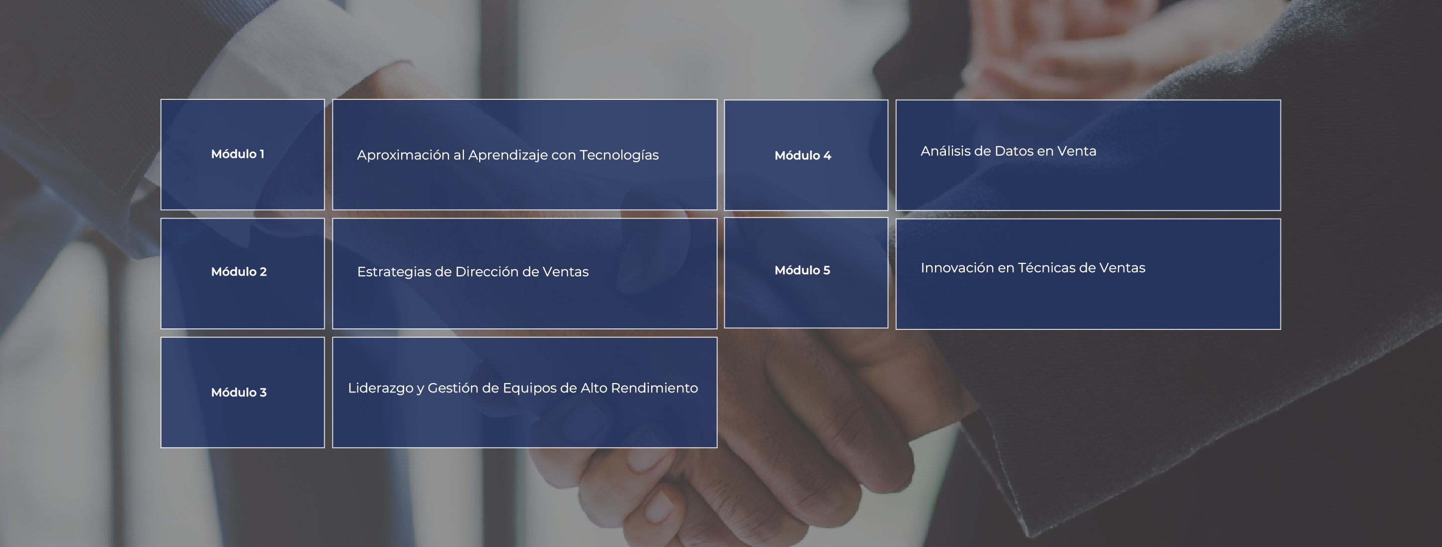 malla diplomado estrategias de ventas