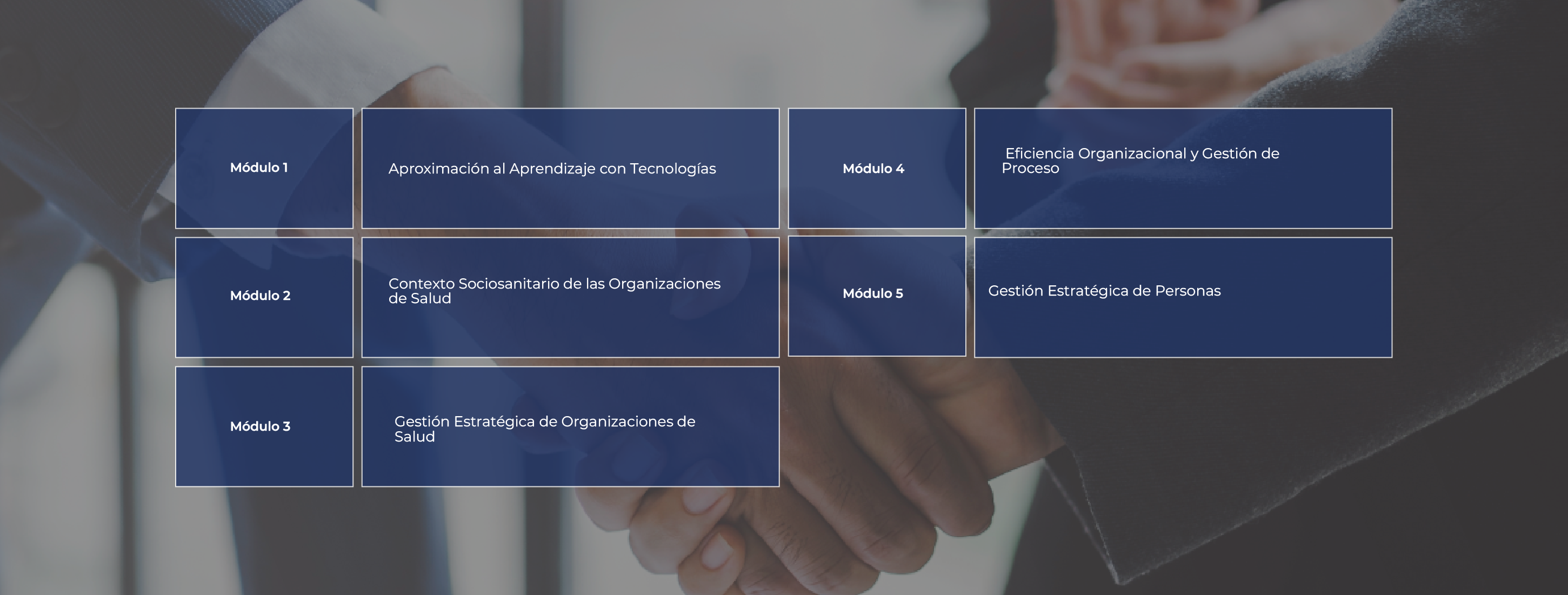 malla académica diplomado gestión salud