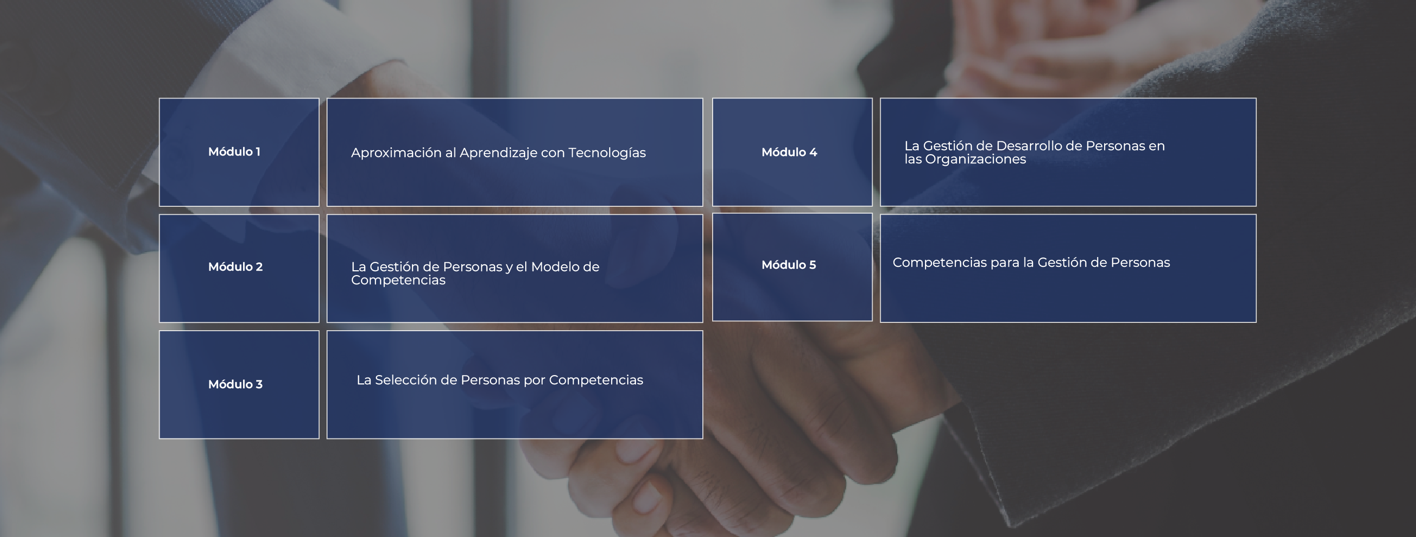 malla gestión de personas