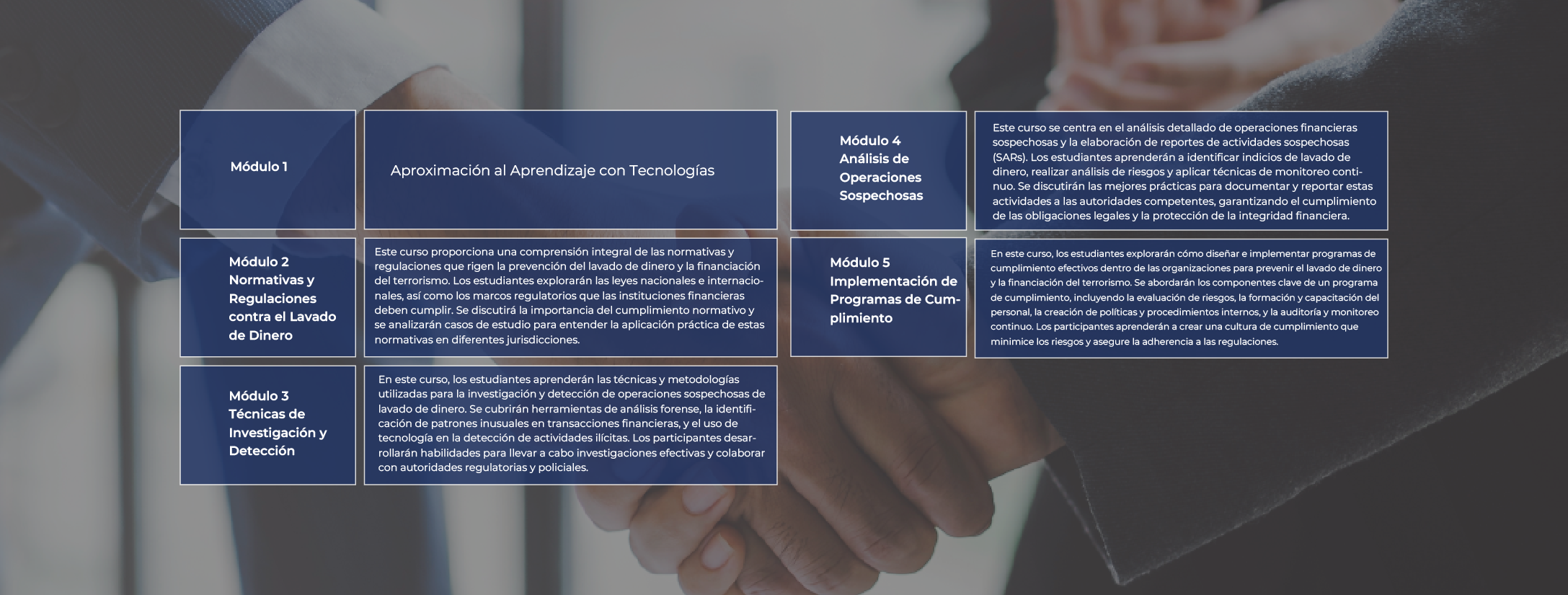 Malla académica Diplomado internacional en Prevención del lavado de dinero y activos financieros