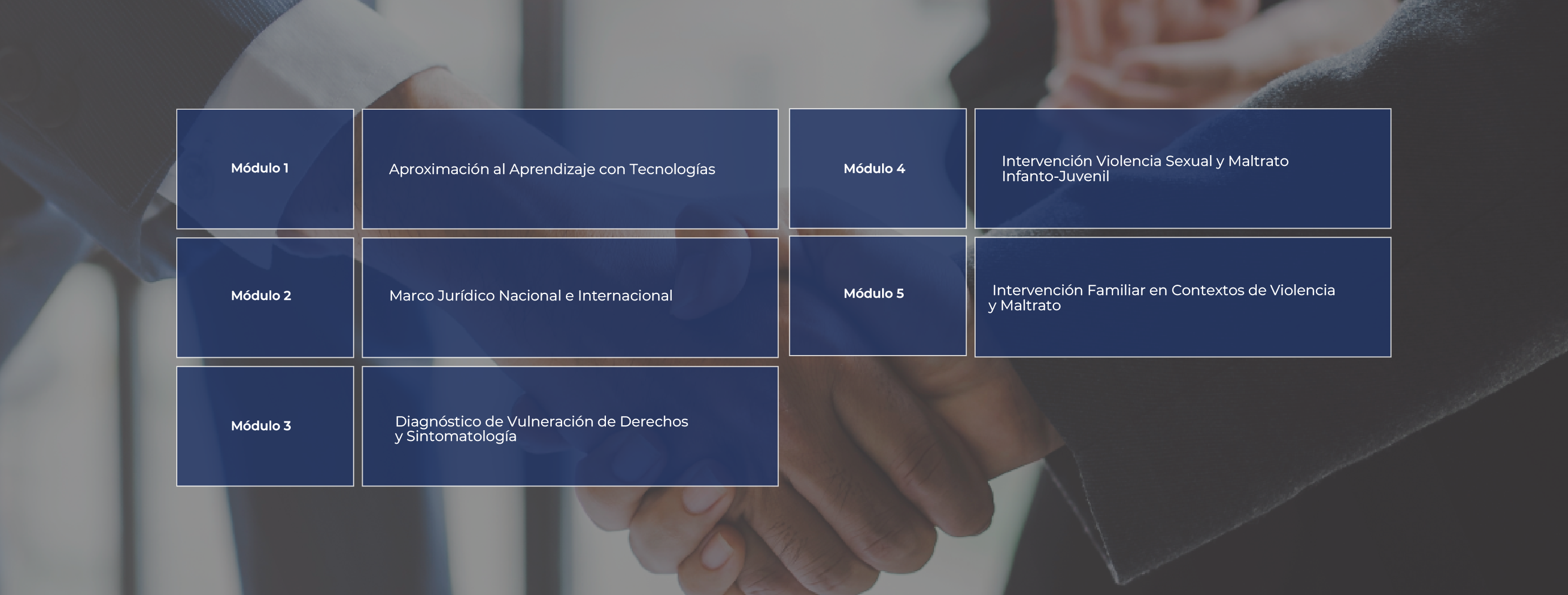 malla academica diplomado en Violencia Sexual y Maltrato Infanto-Juvenil
