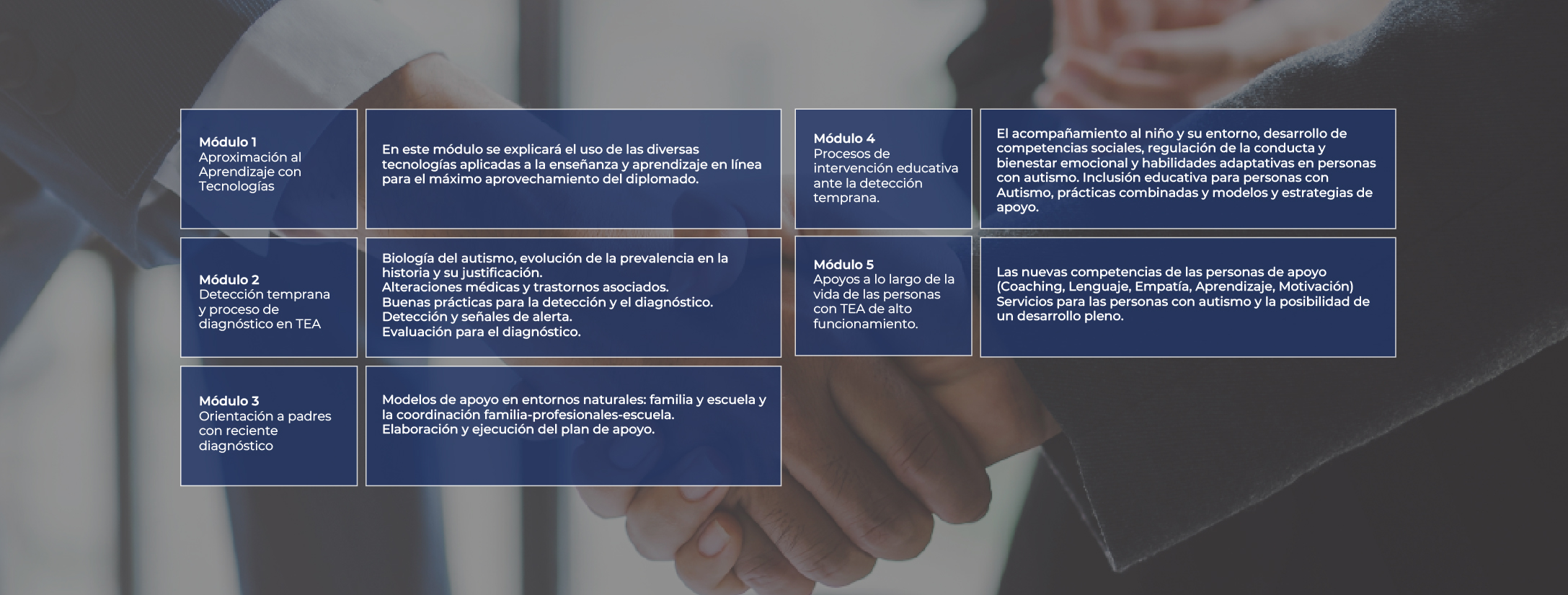 malla diplomado trastorno espectro autista