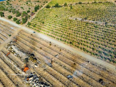 Migración climática: el fenómeno que en Chile ya lleva más de 40 mil  desplazamientos