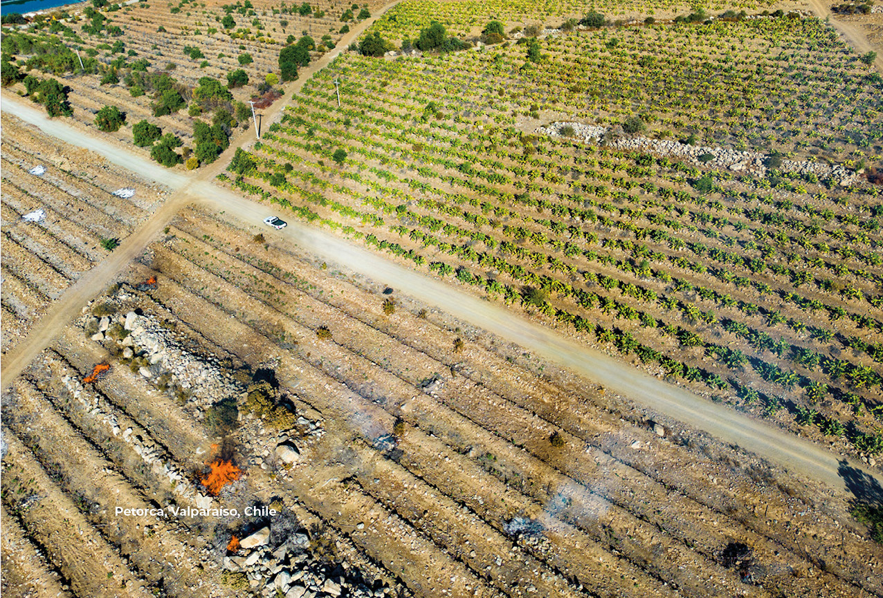 Migración climática: el fenómeno que en Chile ya lleva más de 40 mil  desplazamientos